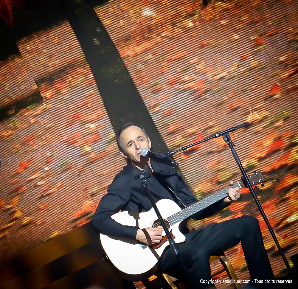 Concert enfoirés 2014 - Zenith Strasbourg - Jean-Jacques Goldman à la guitare
