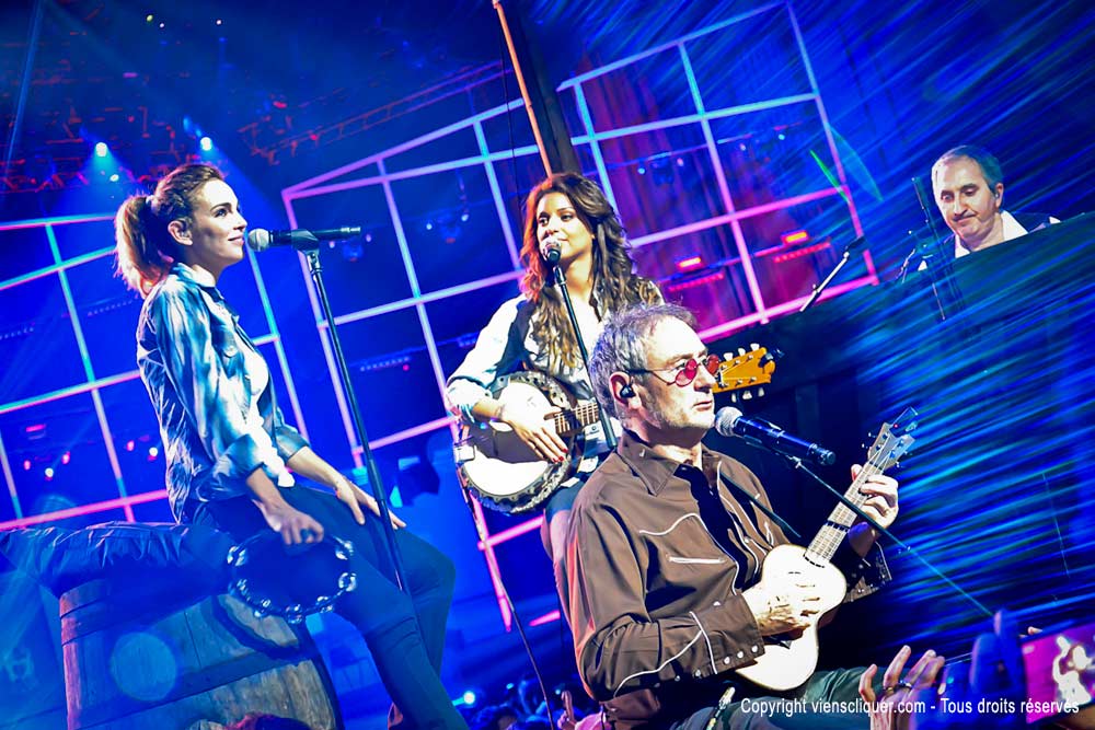 Concert enfoirés 2014 - Zenith Strasbourg - Michel Jones